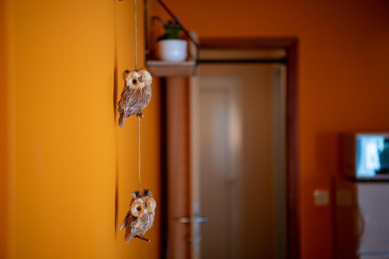 Apartment Orange 29 Rovinj Exteriér fotografie